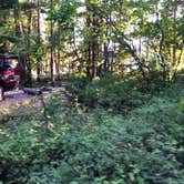 Review photo of Sprague Creek Campground — Glacier National Park by Brian C., April 24, 2019