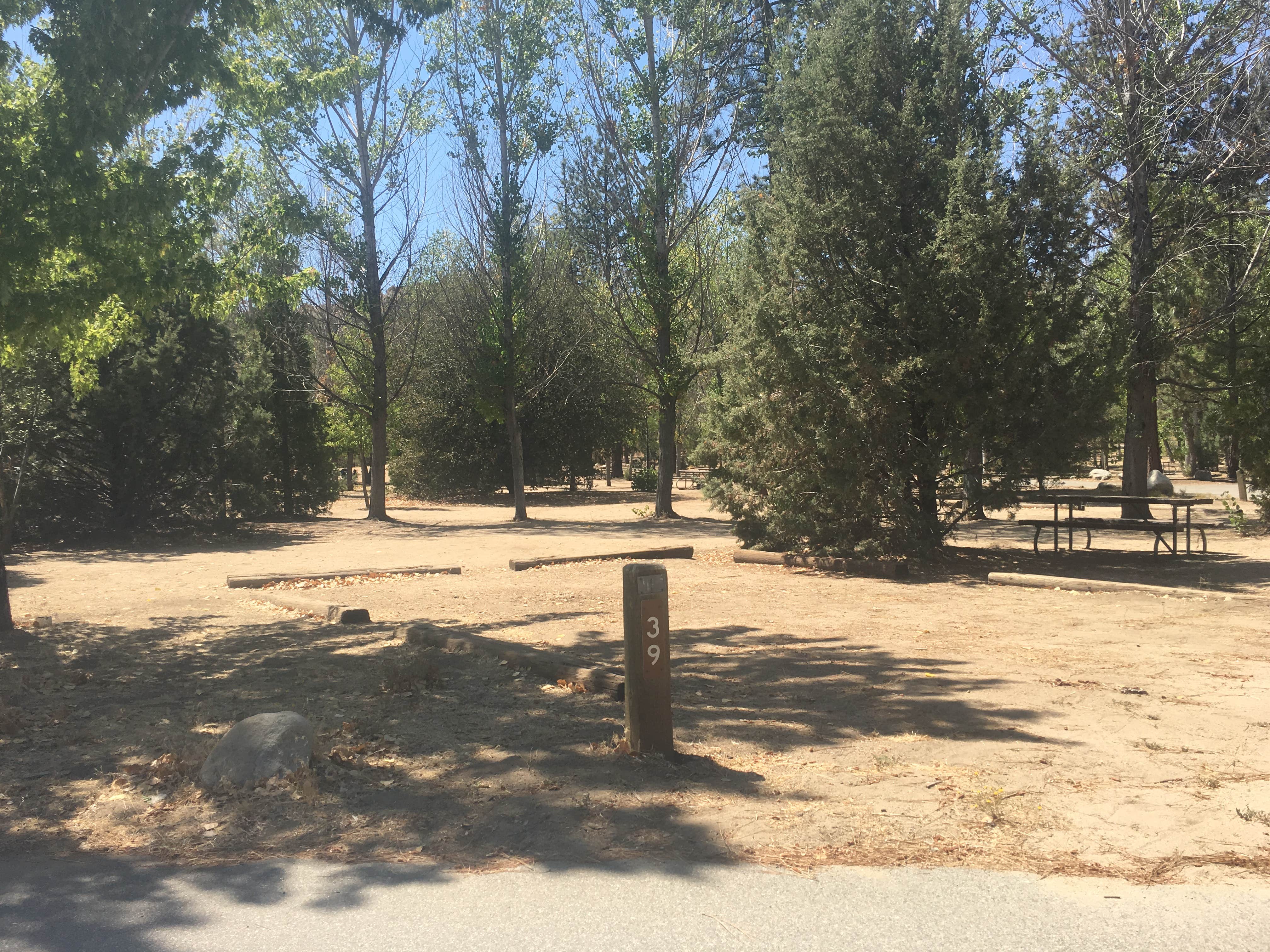 Camper submitted image from Hurkey Creek Park - 4