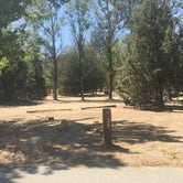 Review photo of Hurkey Creek Park by Shannon C., August 29, 2016