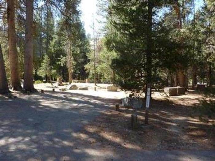 Camper submitted image from Jackass Meadow - 1