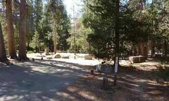 Camping near Vermillion: Jackass Meadow, Mono Hot Springs, California