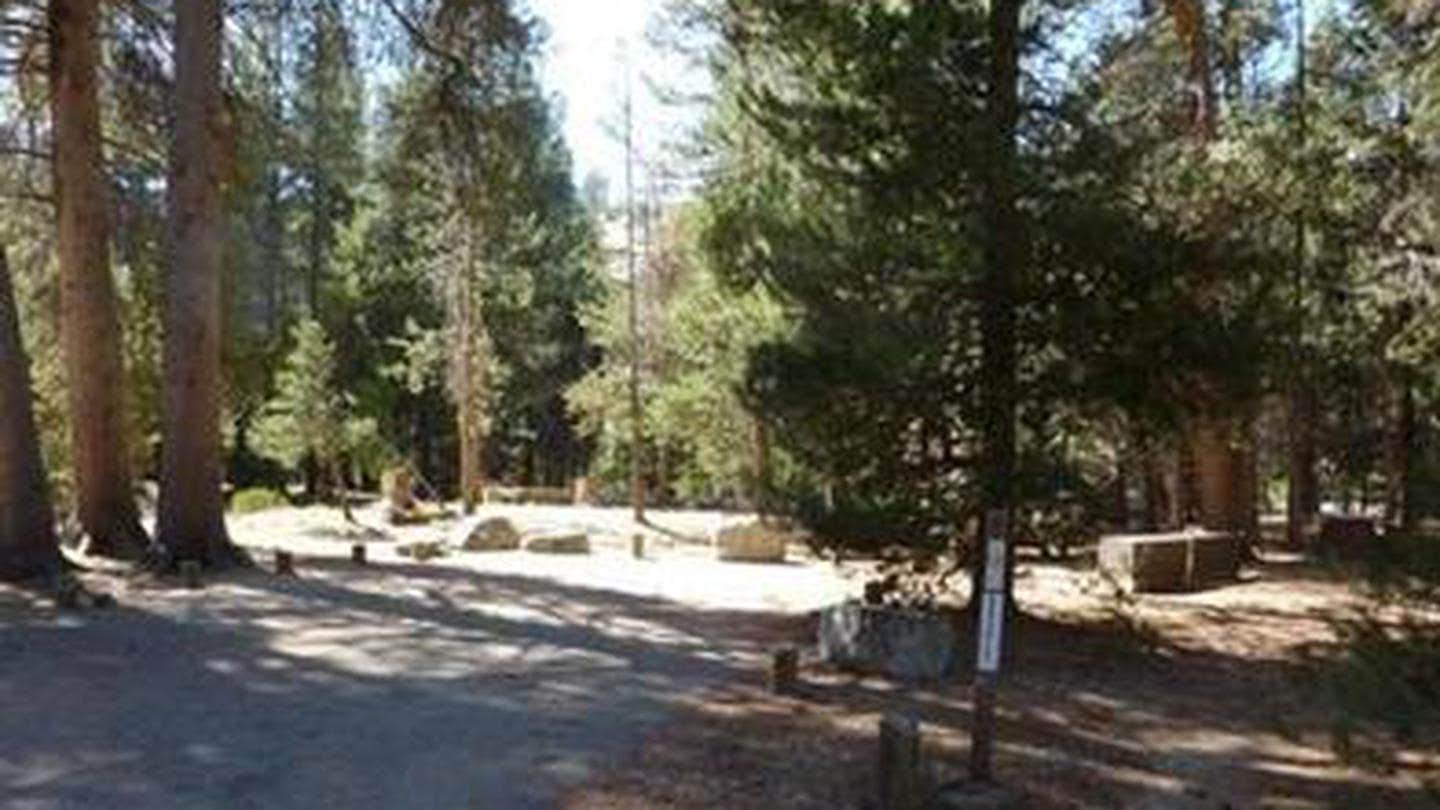 Camper submitted image from Jackass Meadow - 4