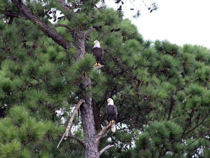 Camper submitted image from Persimmon Hill(enid Lake) - 1