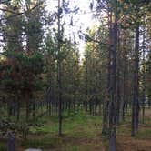 Review photo of Big Springs Campground by Corinna B., October 1, 2017