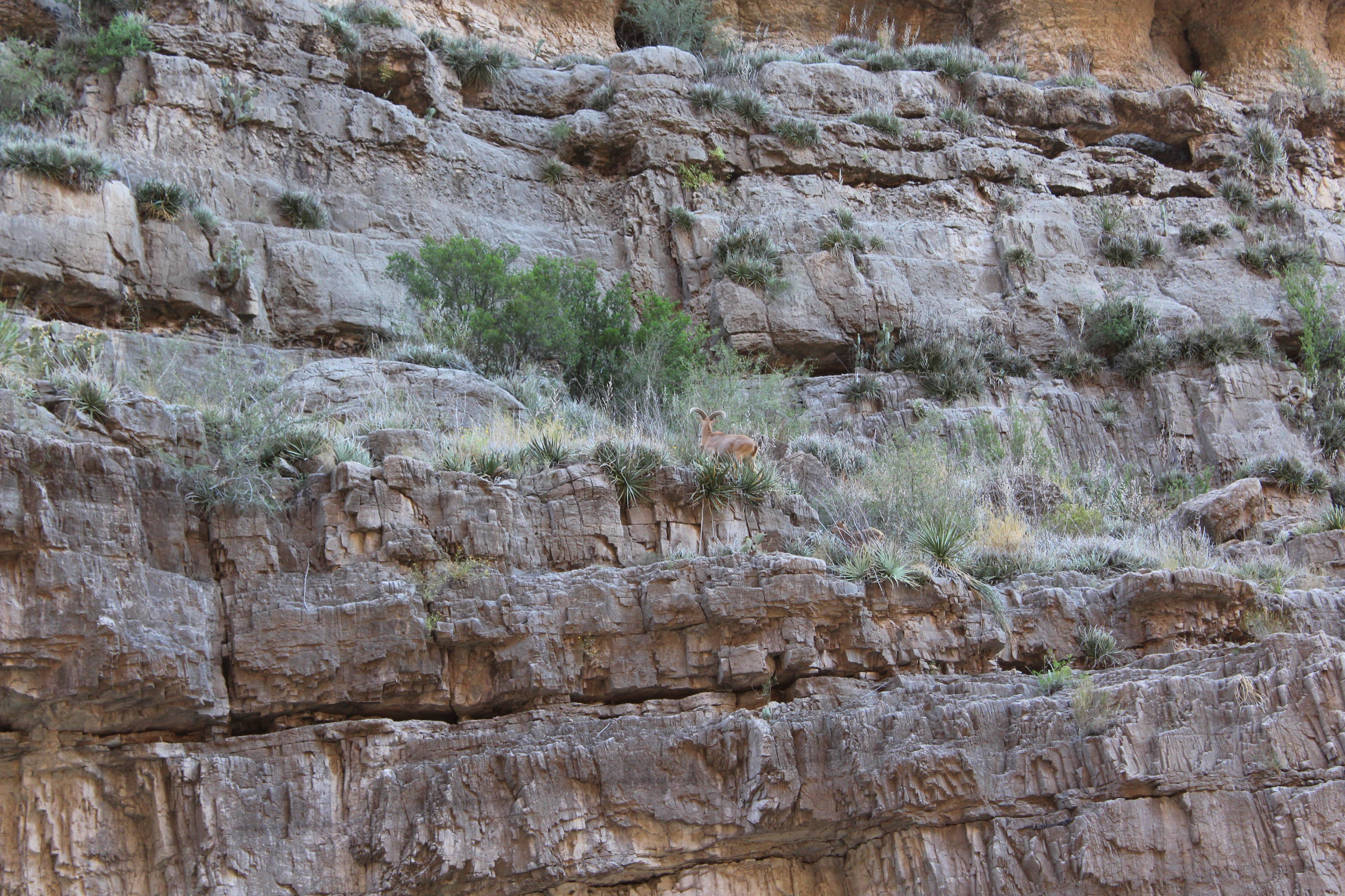 Camper-submitted photo at Santa Elena Canyon — Big Bend National Park near Terlingua, TX