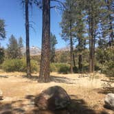 Review photo of Hurkey Creek Park by Shannon C., August 29, 2016