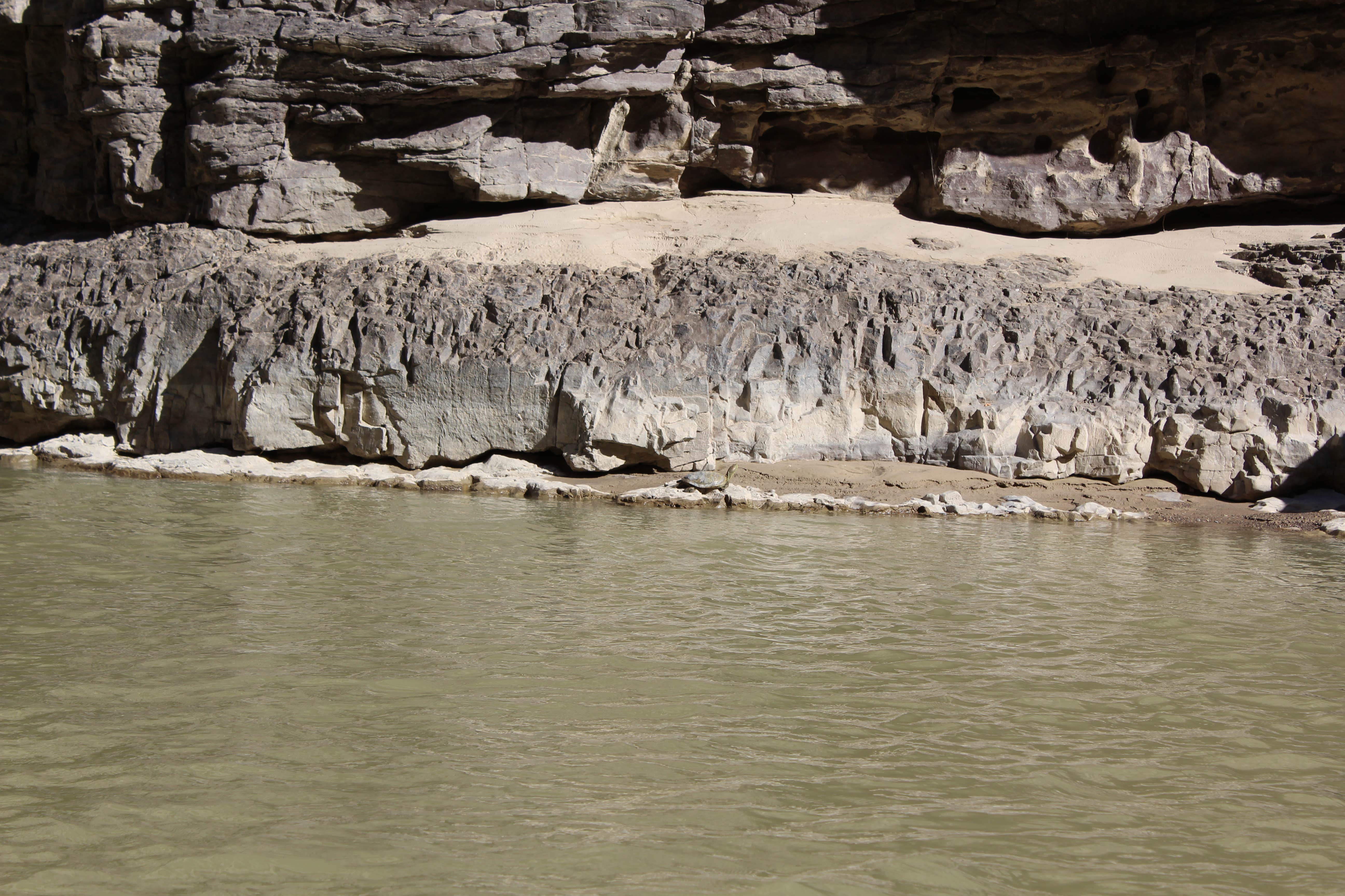 Camper submitted image from Santa Elena Canyon — Big Bend National Park - 1