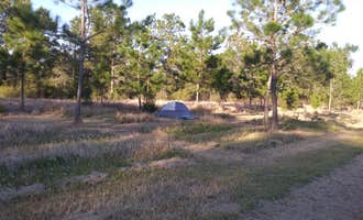 Camping near Escapees Rainbow Plantation RV Park: Alabama Coast Campground, Foley, Alabama