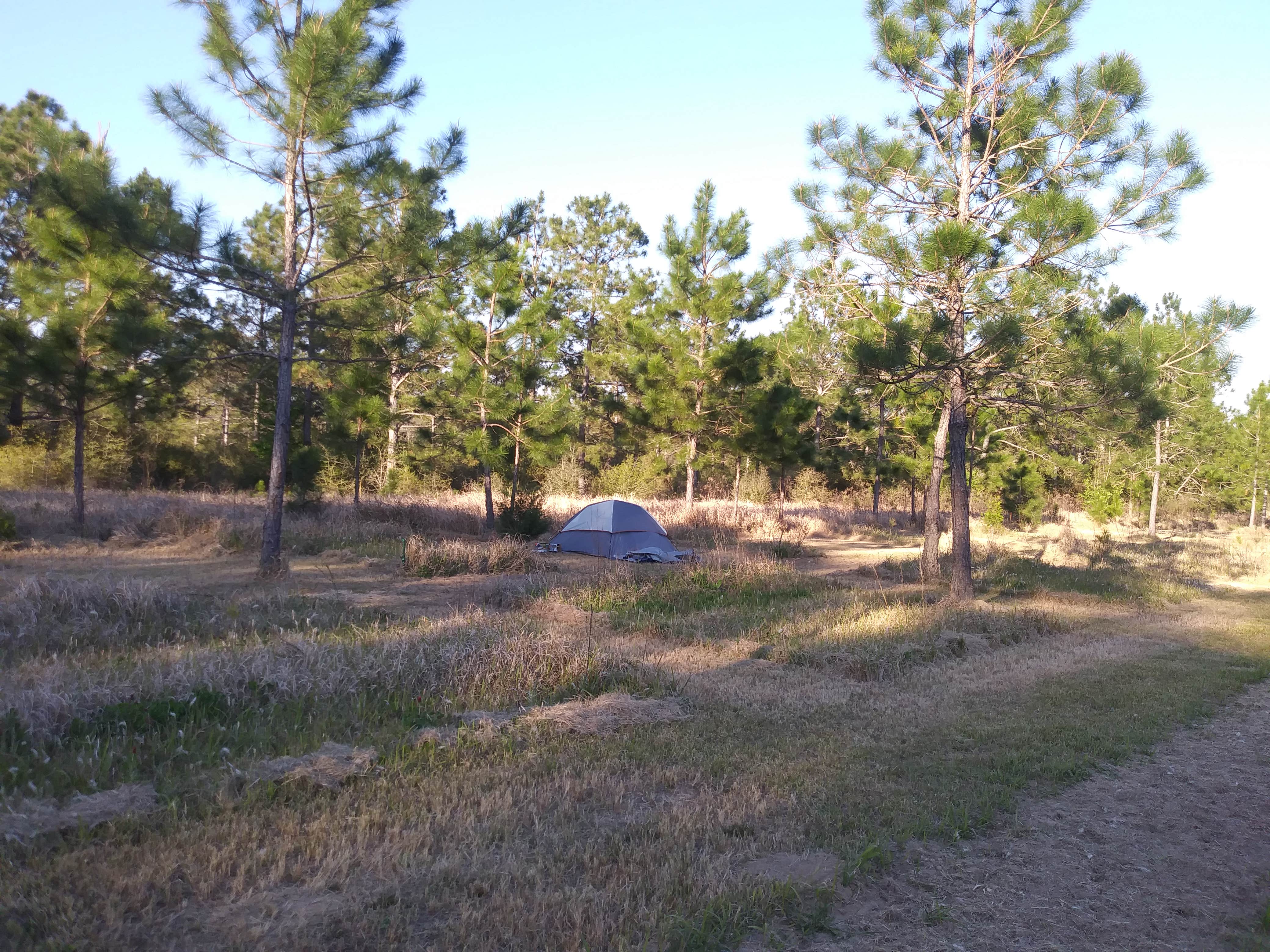 Camper submitted image from Alabama Coast Campground - 1