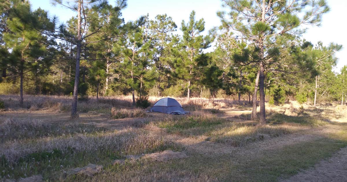 Alabama Coast Campground