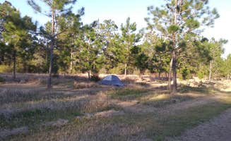 Philip M.'s photo at Alabama Coast Campground near Fairhope, AL