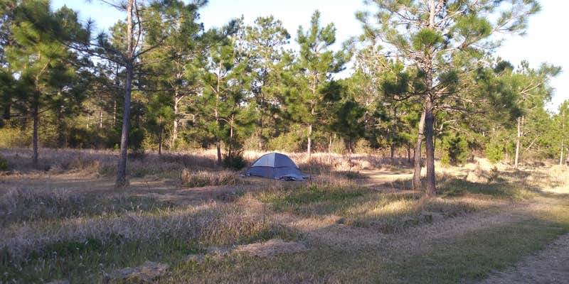 Camper submitted image from Alabama Coast Campground