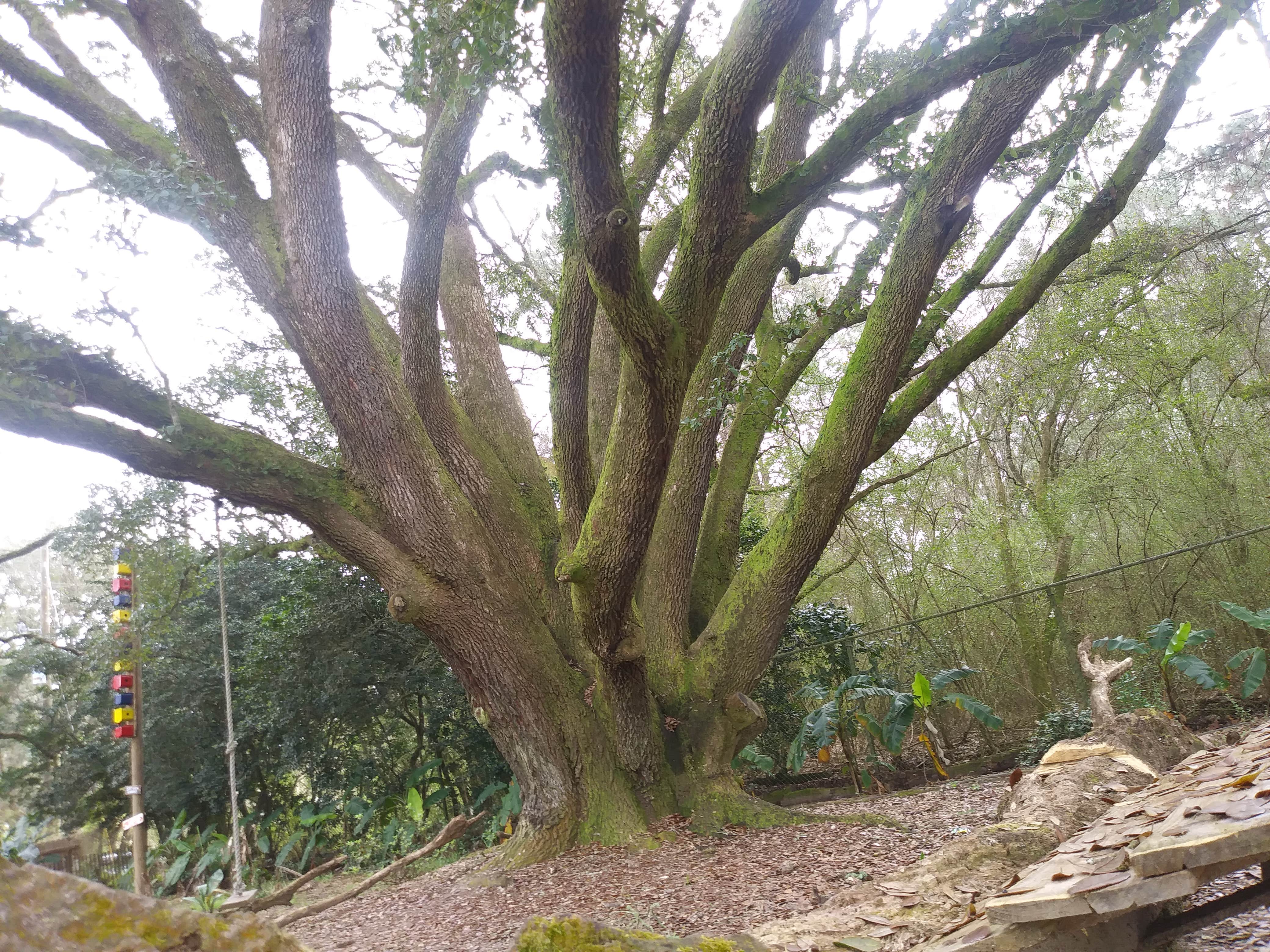 Camper-submitted photo at Alabama Coast Campground near Foley, AL