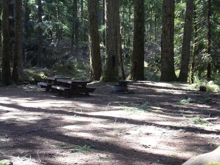 Camper submitted image from Frissell Crossing Campground - 2