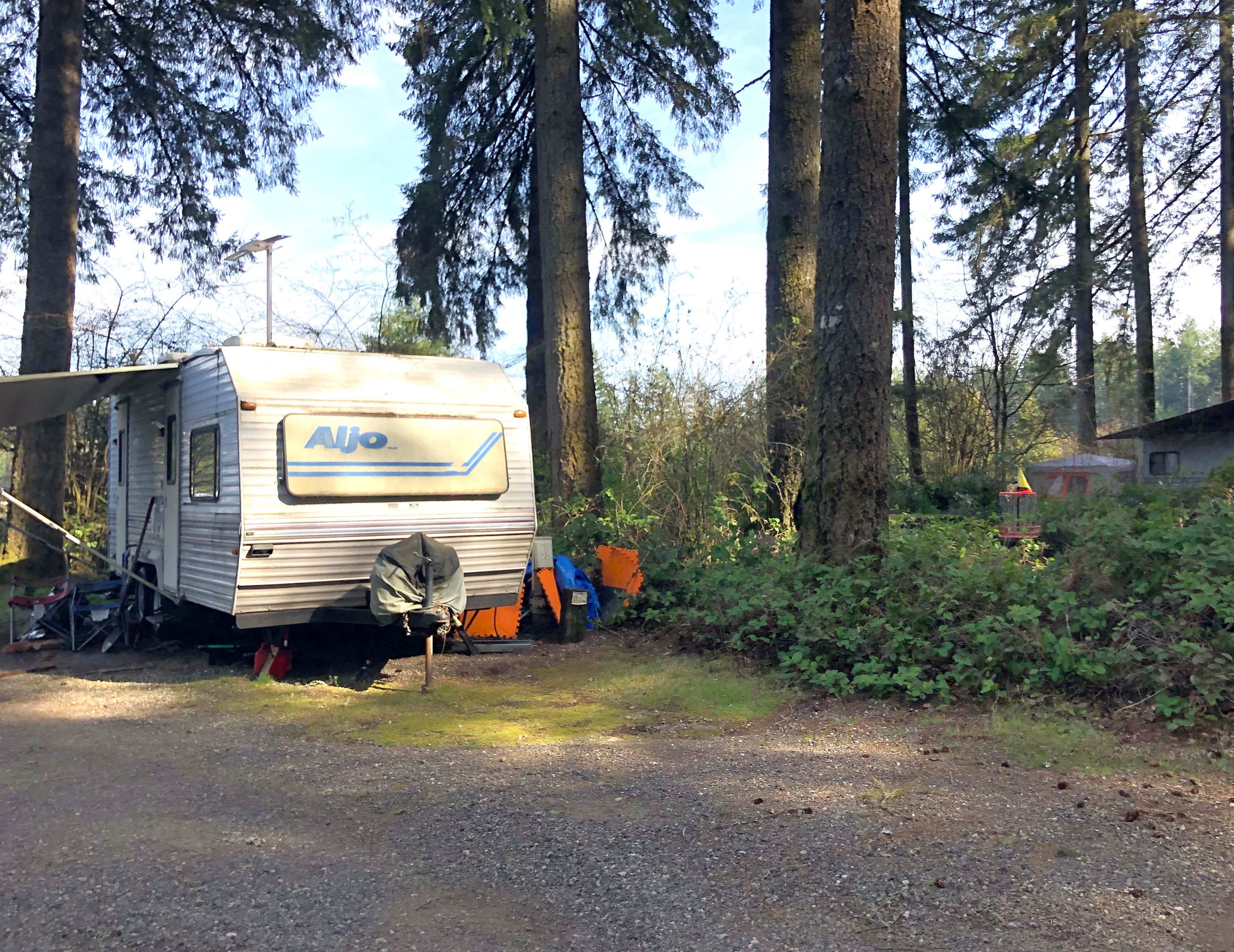 Camper-submitted photo at Olympia Campground near Rochester, WA