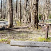 Review photo of Cosby Campground — Great Smoky Mountains National Park by Jean C., May 1, 2019