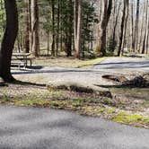 Review photo of Cosby Campground — Great Smoky Mountains National Park by Jean C., May 1, 2019