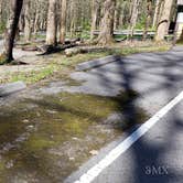 Review photo of Cosby Campground — Great Smoky Mountains National Park by Jean C., May 1, 2019