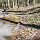 Review photo of Cosby Campground — Great Smoky Mountains National Park by Jean C., May 1, 2019