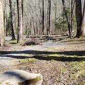Review photo of Cosby Campground — Great Smoky Mountains National Park by Jean C., May 1, 2019