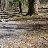Review photo of Cosby Campground — Great Smoky Mountains National Park by Jean C., May 1, 2019