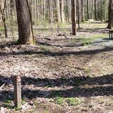 Review photo of Cosby Campground — Great Smoky Mountains National Park by Jean C., May 1, 2019