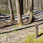 Review photo of Cosby Campground — Great Smoky Mountains National Park by Jean C., May 1, 2019