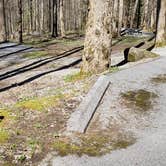 Review photo of Cosby Campground — Great Smoky Mountains National Park by Jean C., May 1, 2019