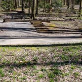 Review photo of Cosby Campground — Great Smoky Mountains National Park by Jean C., May 1, 2019