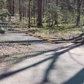 Review photo of Cosby Campground — Great Smoky Mountains National Park by Jean C., May 1, 2019