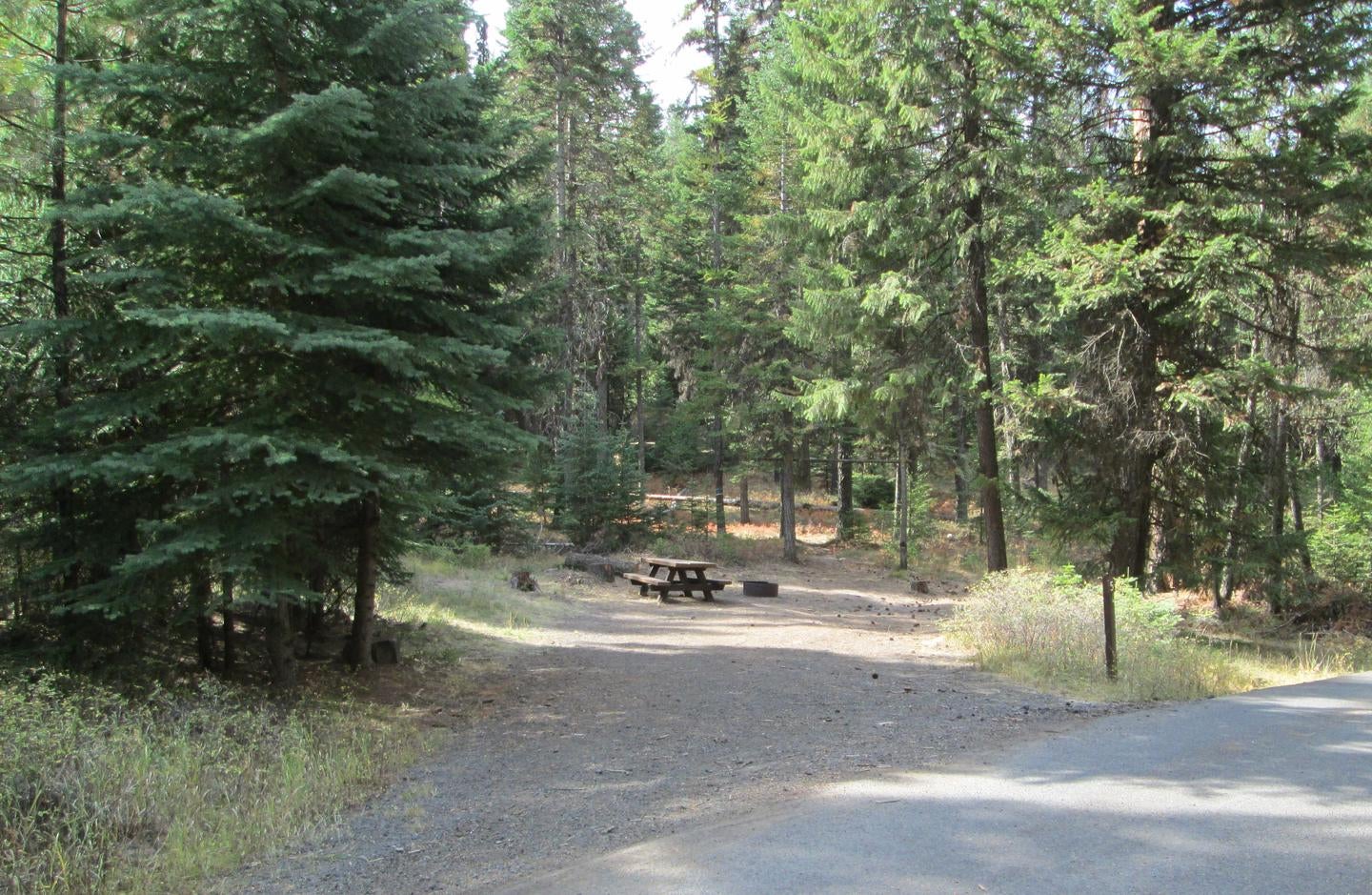 Camper submitted image from Bull Prairie Campground (OR) - 2