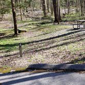 Review photo of Cosby Campground — Great Smoky Mountains National Park by Jean C., May 1, 2019