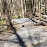Review photo of Cosby Campground — Great Smoky Mountains National Park by Jean C., May 1, 2019