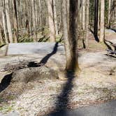 Review photo of Cosby Campground — Great Smoky Mountains National Park by Jean C., May 1, 2019