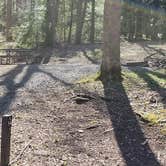 Review photo of Cosby Campground — Great Smoky Mountains National Park by Jean C., May 1, 2019