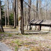 Review photo of Cosby Campground — Great Smoky Mountains National Park by Jean C., May 1, 2019