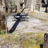 Review photo of Cosby Campground — Great Smoky Mountains National Park by Jean C., May 1, 2019