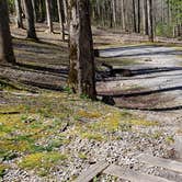Review photo of Cosby Campground — Great Smoky Mountains National Park by Jean C., May 1, 2019
