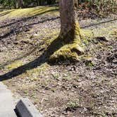 Review photo of Cosby Campground — Great Smoky Mountains National Park by Jean C., May 1, 2019