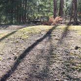 Review photo of Cosby Campground — Great Smoky Mountains National Park by Jean C., May 1, 2019