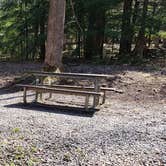 Review photo of Cosby Campground — Great Smoky Mountains National Park by Jean C., May 1, 2019