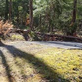 Review photo of Cosby Campground — Great Smoky Mountains National Park by Jean C., May 1, 2019