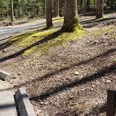 Review photo of Cosby Campground — Great Smoky Mountains National Park by Jean C., May 1, 2019