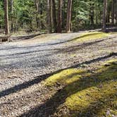 Review photo of Cosby Campground — Great Smoky Mountains National Park by Jean C., May 1, 2019