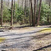 Review photo of Cosby Campground — Great Smoky Mountains National Park by Jean C., May 1, 2019