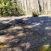Review photo of Cosby Campground — Great Smoky Mountains National Park by Jean C., May 1, 2019