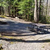 Review photo of Cosby Campground — Great Smoky Mountains National Park by Jean C., May 1, 2019