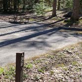 Review photo of Cosby Campground — Great Smoky Mountains National Park by Jean C., May 1, 2019