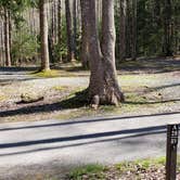 Review photo of Cosby Campground — Great Smoky Mountains National Park by Jean C., May 1, 2019
