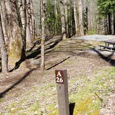 Review photo of Cosby Campground — Great Smoky Mountains National Park by Jean C., May 1, 2019